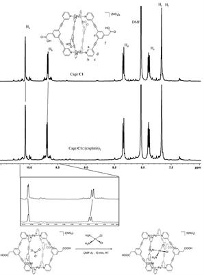 Exo-Functionalized Metallacages as Host-Guest Systems for the Anticancer Drug Cisplatin